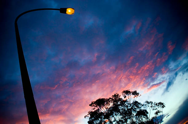An illuminated street-lamp rises up against sunset / sunrise clouds
