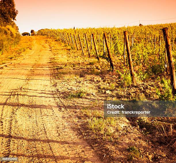 Photo libre de droit de Région De Chianti Collines Et Vignobles Au Coucher Du Soleil En Toscane banque d'images et plus d'images libres de droit de Agriculture