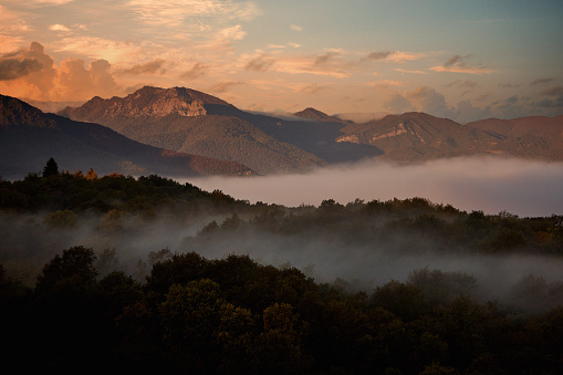 Hot air balloon point of view over lush mountain foliage and valley fog.