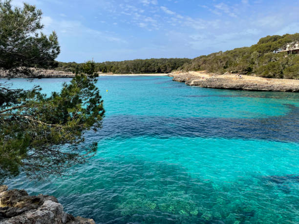 istock Mondrago Nature Park, Majorca, Santanyi, Spain 1589522689