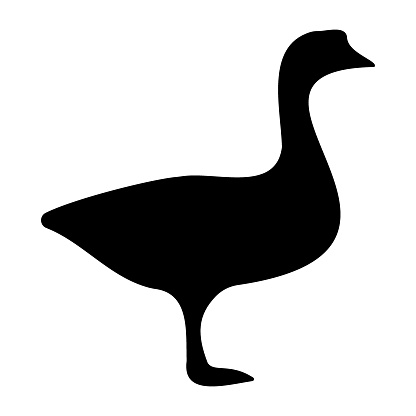 Goose Icon. Nature, wildlife, waterfowl, bird, flying, migration, honking, feathers, webbed feet, flock, aquatic, elegance, grace, symbol of loyalty. Vector line icon for Business and Advertising