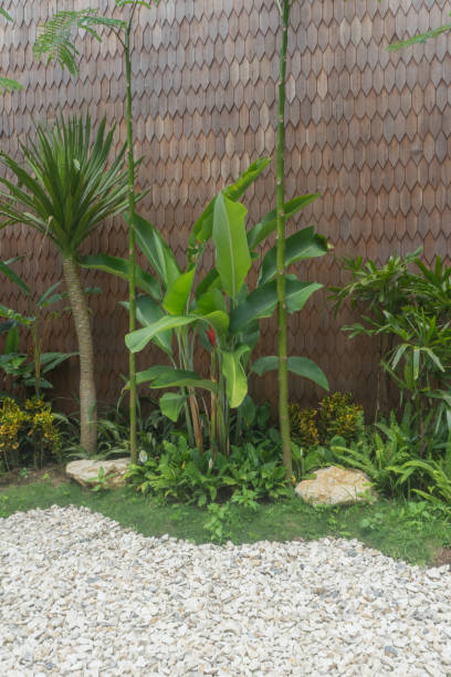 istock Roof shingles flat rectangular shapes ulin iron wooden material rooftop with garden traditional culture Indonesia 1589541652