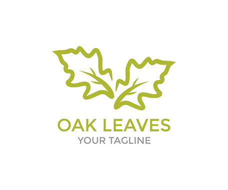 Oak leaves badge. Oak leaves sign isolated on white background. Oak leaf. Flat style. Pictogram for web graphics vector design and illustration.