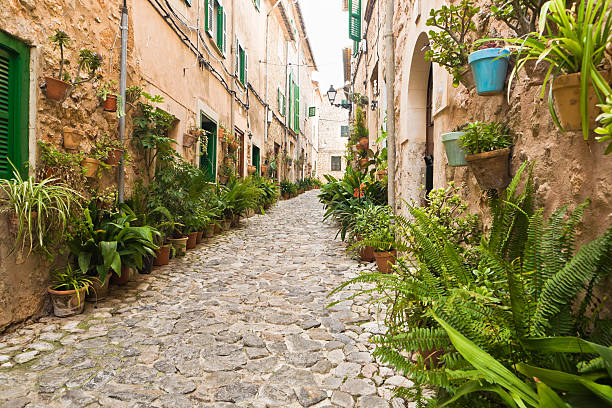 istock Fornalutx, Village in Majorca 158955257