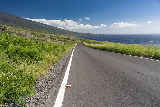 Road in Maui stock photo