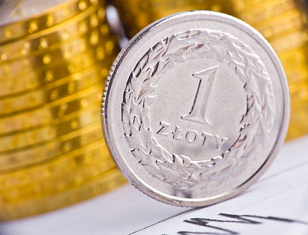 istock Extremely close up view of Poland currency 158956246