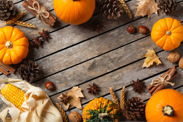 istock Autumn fall thanksgiving day composition with decorative pumpkins 1589573933