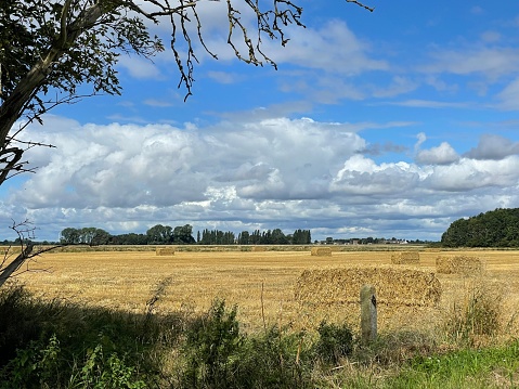 Hay bales in the Fens in the Summertime