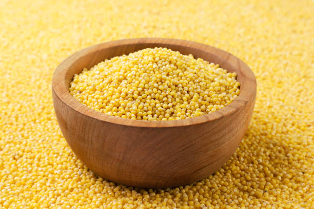 istock Millet in a wooden plate close-up. 1589582978