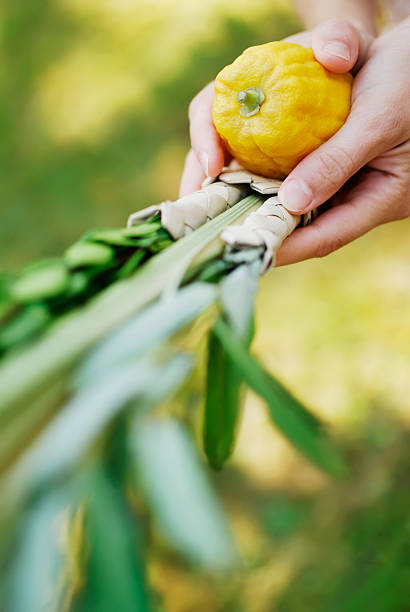 potrząsając lulav - cytron zdjęcia i obrazy z banku zdjęć