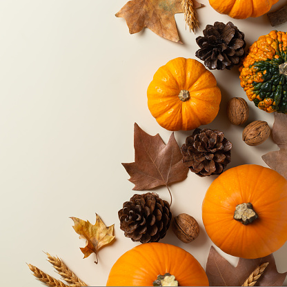 Autumn fall thanksgiving day composition with decorative pumpkins. Flat lay, view from above, still life seasonal background for greeting card