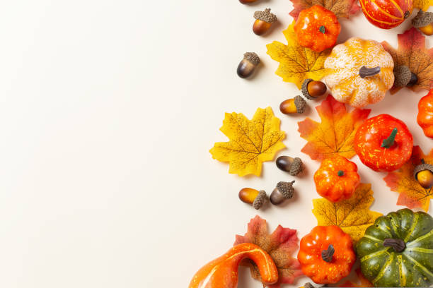 istock Autumn fall thanksgiving day composition with decorative pumpkins 1589604931