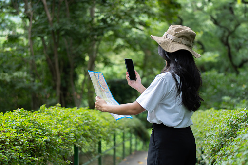 A traveling woman with smartphone and map in woods. Cropped image of the woman with a map and phone, standing near a tree in a forest. Back view, copy space.