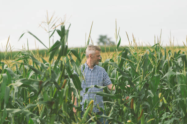 istock Agriculture small business 1589653208