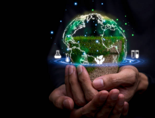 istock Teacher hold tree biology, Internet education science course degree, study knowledge to creative thinking idea. E-learning graduate certificate program educational chemical business concept. 1589661257