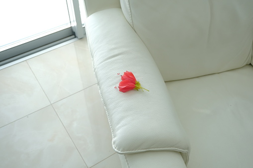 red flower on white background. one red flower on a white armchair