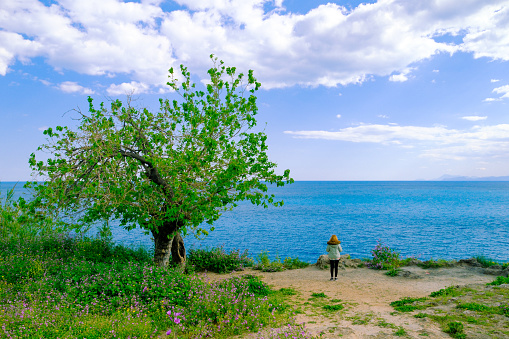 A woman watches the sea in the landscape where green and blue intertwine