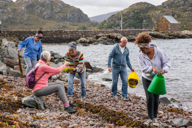istock Contribution To The Clean Up 1589703139