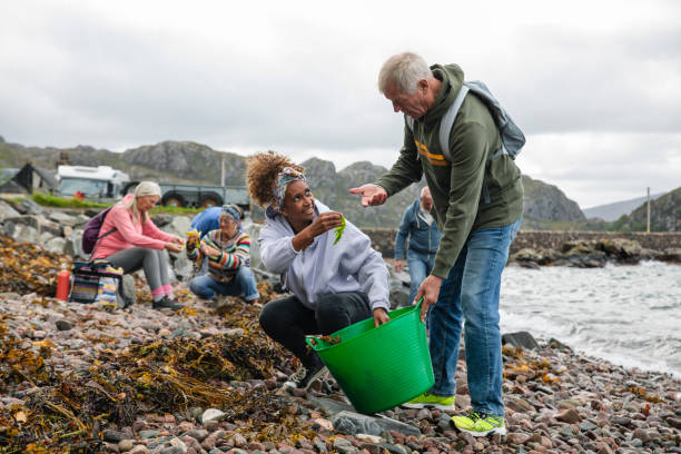 istock Leaving Healthy Seaweed Behind 1589703142