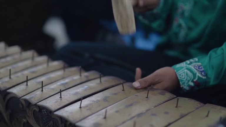 Gamelan is one of the traditional musical instruments in Indonesia which is worldwide. Gamelan has various regions such as Java, Sunda and Bali.