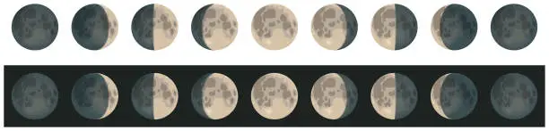 Vector illustration of Moon Phases