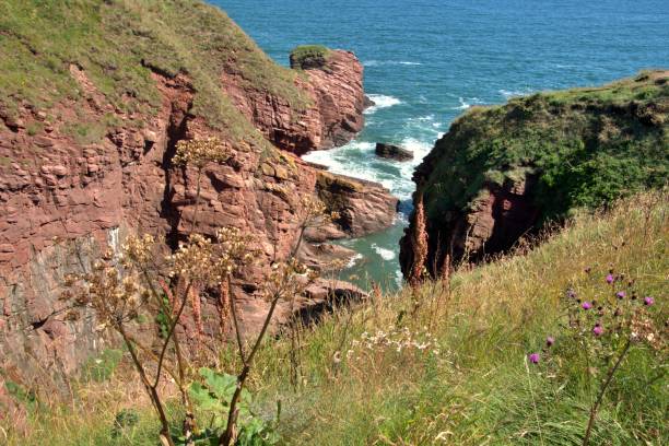 Airbroth Rocks 30+ Arbroath Cliffs Photos Stock Photos, Pictures & Royalty-Free Images ...