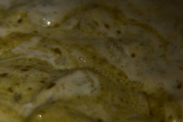 istock Chopped onions in pesto sauce close up 1589764841