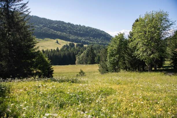 istock Dolomiti in trentino 1589767694