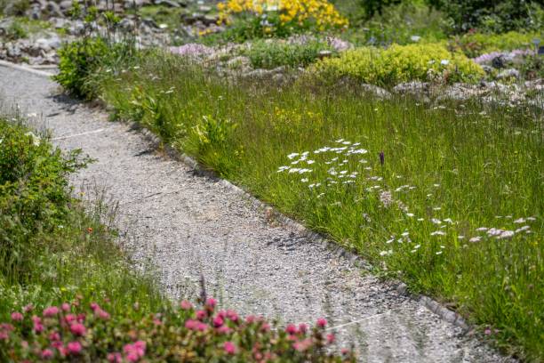 istock flowers in a botanical garden 1589768244