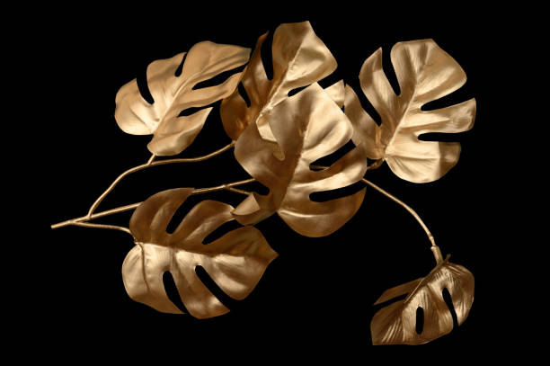 istock Tropical leaves gold and black, can be used as background(Monstera,palm,coconut)fernclipping path 1589795251