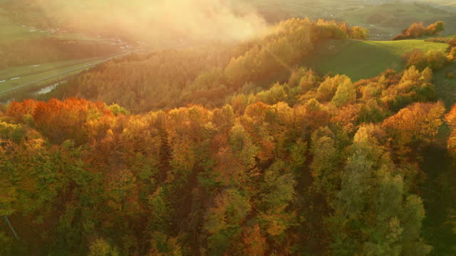 Beautiful aerial rural landscape with autumn forest in mountains