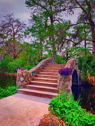 A beautiful stone bridge in the middle of New Orleans city park