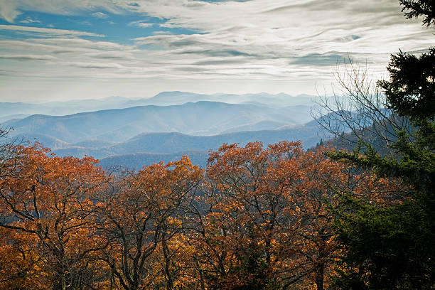 Foresta Nazionale Di Pisgah Immagine Foto e Immagini Stock iStock