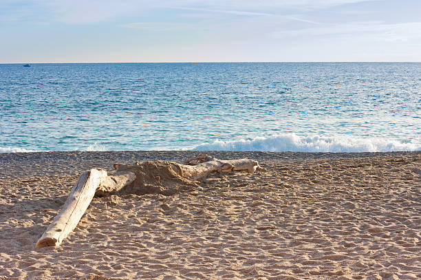 Trunk on the beach stock photo