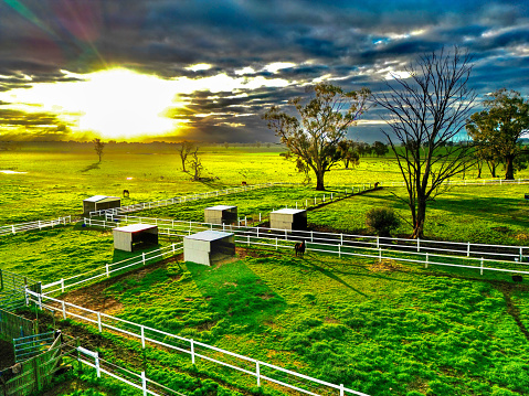 Green pasture in rural area in Victoria
