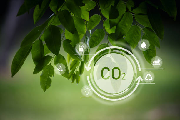 istock Carbon dioxide or CO2 is colorless gas. which inhaling this gas in large quantities. Leaf absorb dust and carbon dioxide. management clean air global. 1589851241