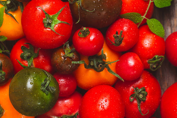 istock Tomatoes of different colors and varieties close-up 1589854615