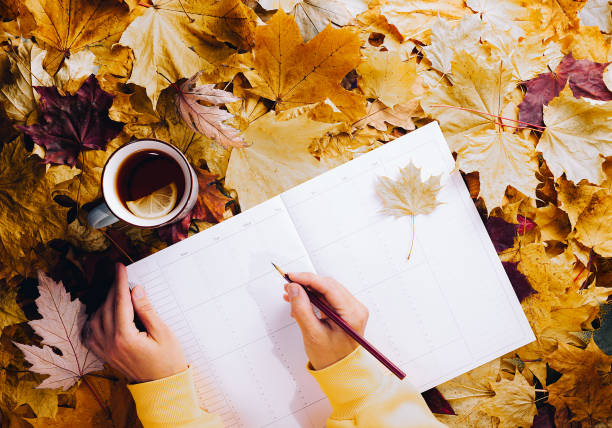 istock Fall planning the week over a cup of tea. 1589860533