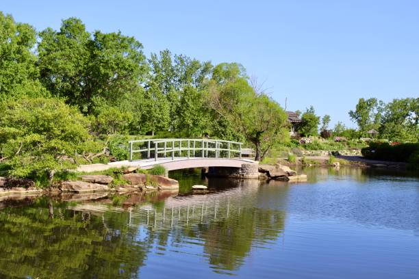 istock Wood Footbridge 1589862995