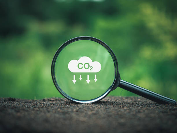 istock CO2 emission reduction concept, clean and friendly environment without carbon dioxide emissions. Planting trees to reduce CO2 emissions, environmental protection concept. 1589865729