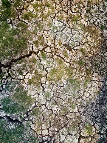 Many cracks in the soil, contaminated, poisoned land.