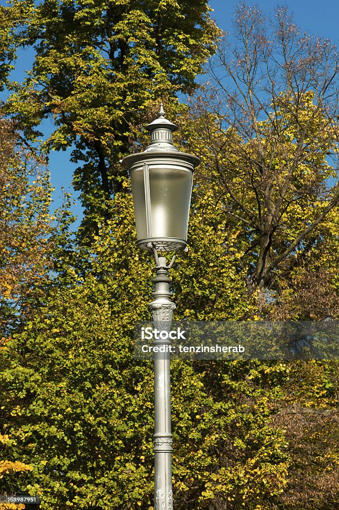 Herbst im Park - Lizenzfrei Baum Stock-Foto