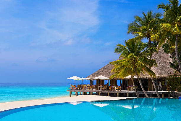 café et piscine sur une plage tropicale - station de vacances photos et images de collection