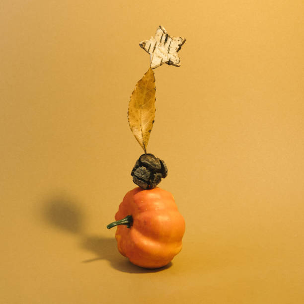 Contemporary style autumn motif 3d rendering with an orange pumpkin, pine cone, a yellow dried leaf and a wooden star on the top. Mimimalistic objects of fall season composition on brown, beige, orange background. representación 3d con motivo de otoño de estilo contemporáneo con una calabaza naranja, una piña, una hoja seca amarilla y una estrella de madera en la parte superior. objetos mimalísticos de la composición de la temporada de otoño sobre fondo marr�