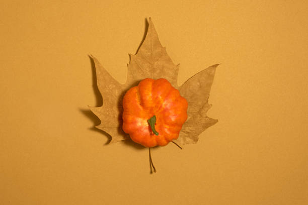 Minimal flat lay layout autumn concept on brown beige background with a maple tree leaf and an orange pumpink in the middle.