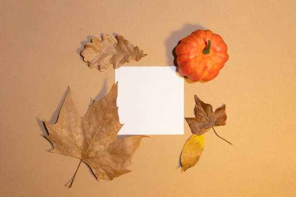 istock Minimal flat lay layout autumn concept on gold background with white message card note paper , an orange pumpkin, maple tree leaf brown and yellow. Holiday greeting aesthetic composition. 1589900891