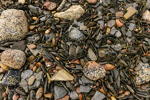 An overhead shot of a variety of stones on a beach in Torridon, Scotland. Some of the rocks are larger and are covered in barnacles, whilst some are smaller and some are flat in shape.