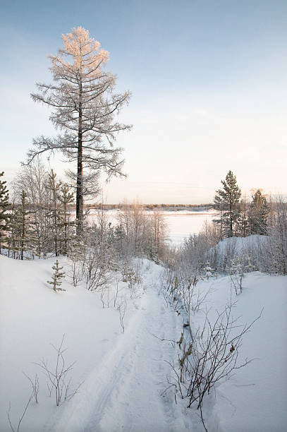 invierno, siberia occidental. - tony snow fotos fotografías e imágenes de stock