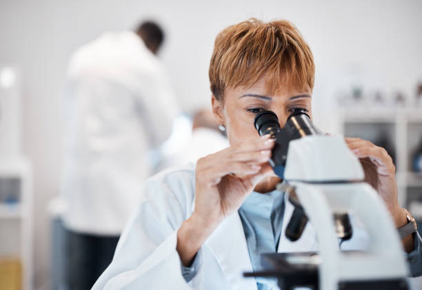 istock Check, microscope and science with black woman in laboratory for experiment, medical and pharmacy. Healthcare, medicine and results with expert looking for pathology, test and sample analysis 1589910003