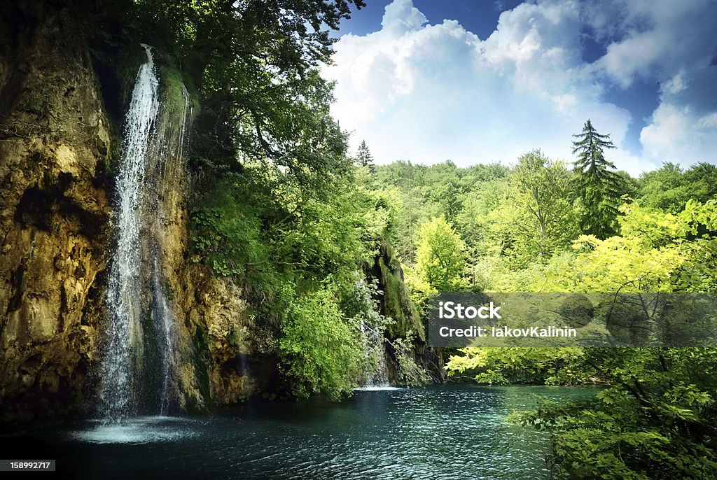 waterfall in deep forest Beauty In Nature Stock Photo